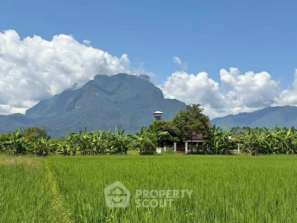 Scenic rural property with lush green fields and mountain backdrop