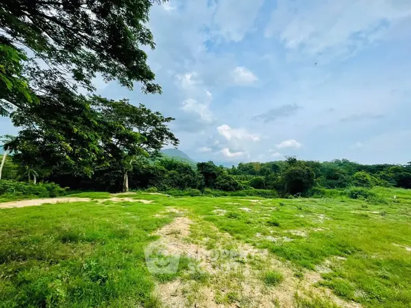 image_rental-17173482