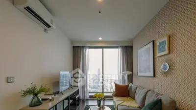 image_rental-30504018