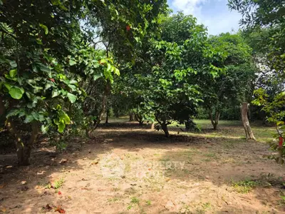 Lush garden area with mature trees and open space, perfect for landscaping or outdoor activities.