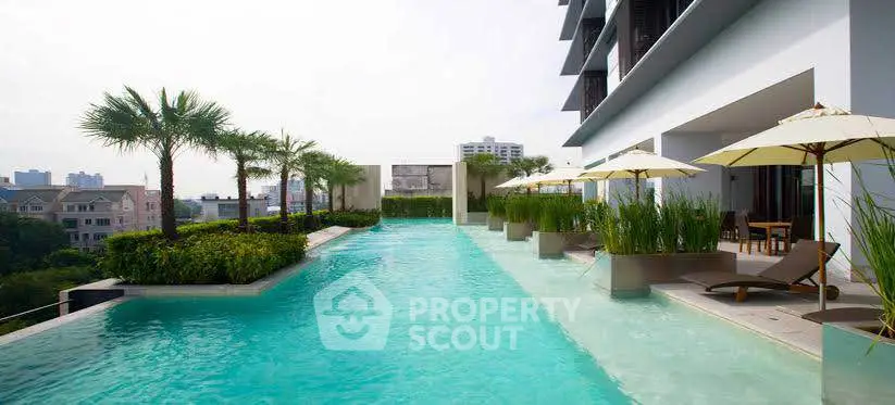 Luxurious rooftop pool with palm trees and city view, perfect for relaxation and leisure.