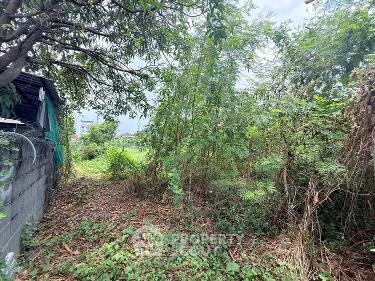Lush green vacant land with potential for development, surrounded by trees and natural foliage.