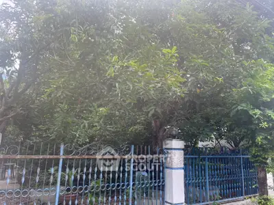 Charming garden view with lush greenery and decorative fence in a serene residential area.