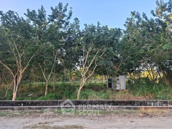 image_rental-23309545