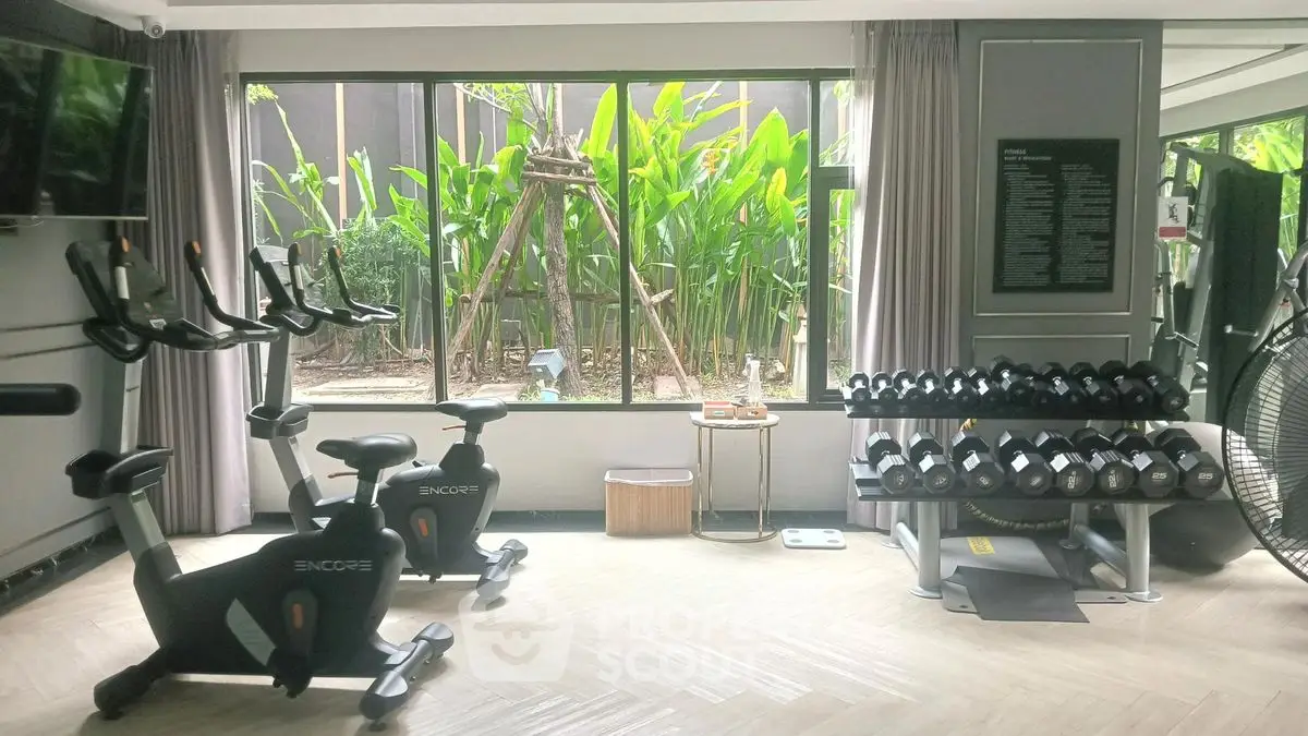 Modern gym with exercise bikes and dumbbells in a bright, airy space.