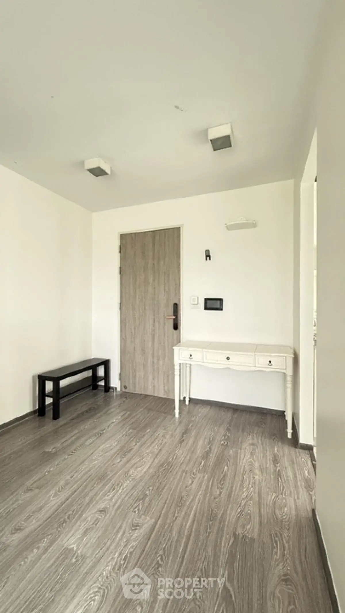 Minimalist entryway with wooden flooring and modern fixtures.