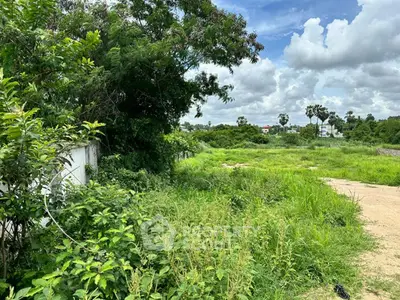 Lush green vacant land with potential for development under a bright blue sky.