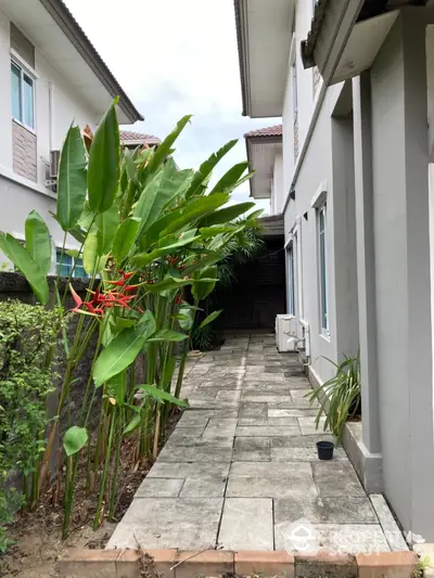 Charming garden pathway with lush greenery beside modern home exterior