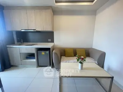 Modern compact living room with kitchenette and cozy sofa