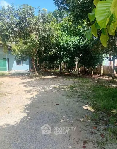 Charming garden area with lush trees and spacious outdoor setting, perfect for relaxation.