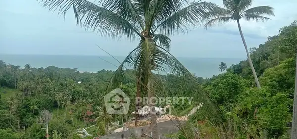 image_rental-19975122