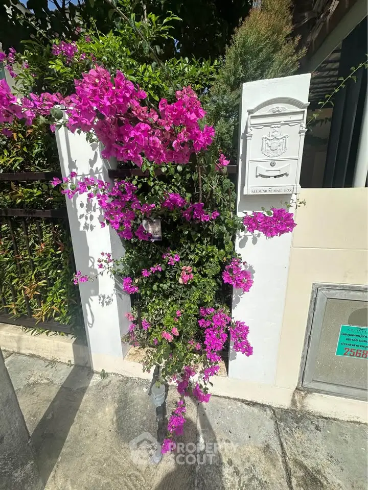 Charming exterior with vibrant bougainvillea and elegant mailbox, perfect for a welcoming home entrance.
