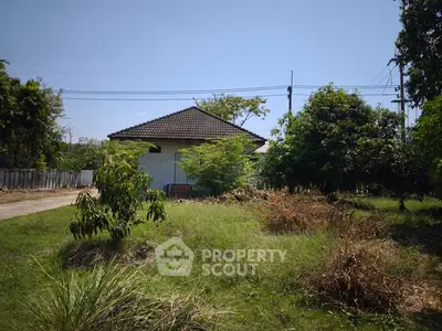 Charming single-story home with lush greenery and spacious yard, perfect for nature lovers.