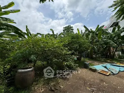Lush garden area with tropical plants and trees, perfect for nature lovers seeking tranquility.