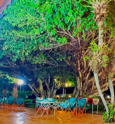 Charming garden area with lush greenery and cozy seating, perfect for relaxation and outdoor gatherings.