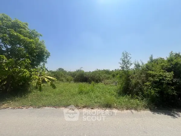 image_rental-30462077