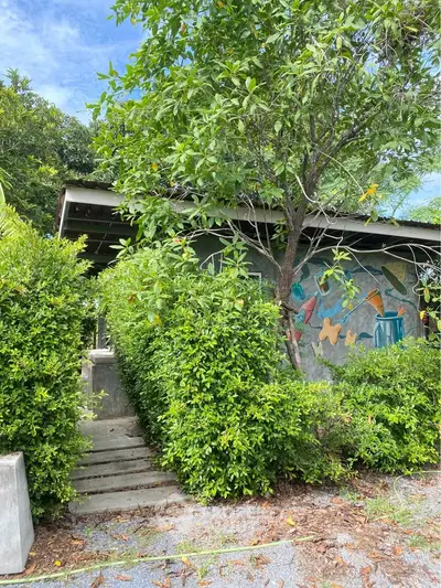 Charming rustic home with lush greenery and artistic exterior wall design.