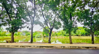 Scenic view of lush greenery and tranquil pond from a roadside perspective, ideal for nature lovers.
