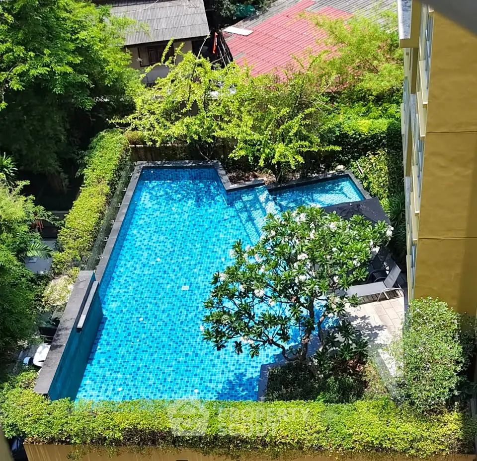Stunning aerial view of a serene residential swimming pool surrounded by lush greenery, perfect for relaxation.