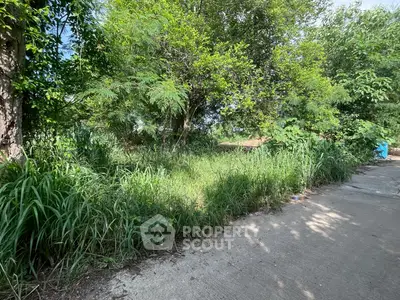 Lush green vacant land with potential for development, surrounded by trees and natural beauty.