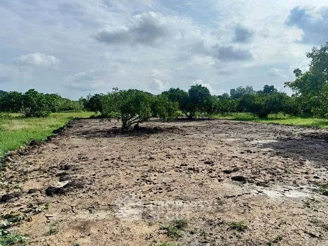 Expansive land plot with lush greenery, perfect for development or agriculture.