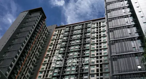 image_rental-30675775