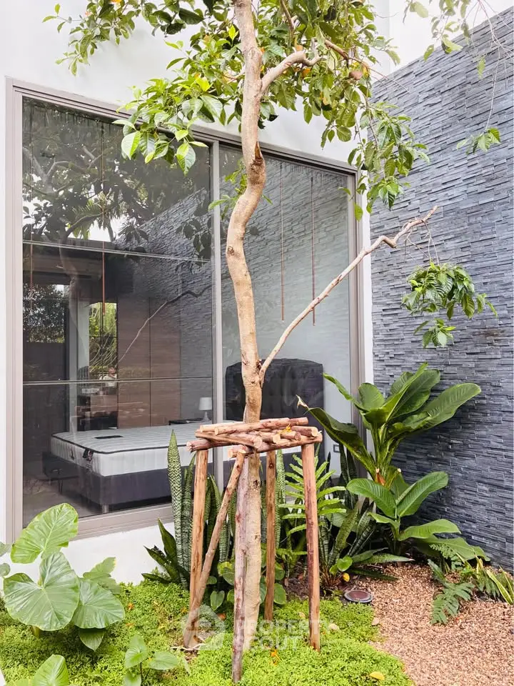 Modern garden view with lush greenery and sleek window design