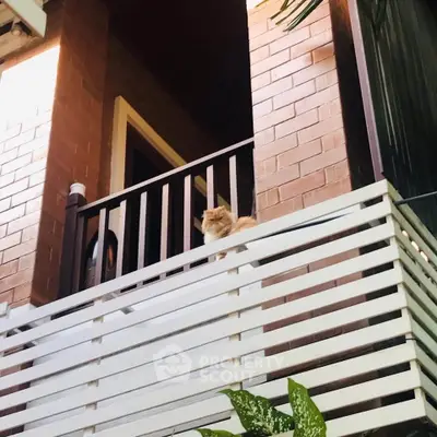 Charming balcony with a cozy atmosphere and a cute cat enjoying the view, perfect for relaxation.