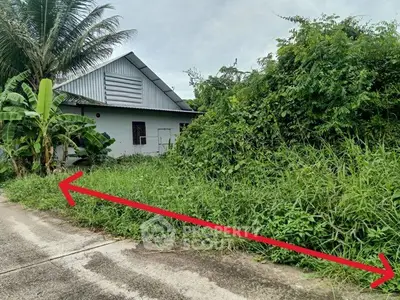 Charming rural property with lush greenery and potential for development.