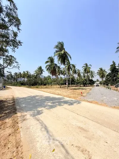 image_rental-29422151