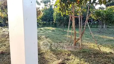 Spacious garden area with lush greenery and young trees, perfect for landscaping opportunities.