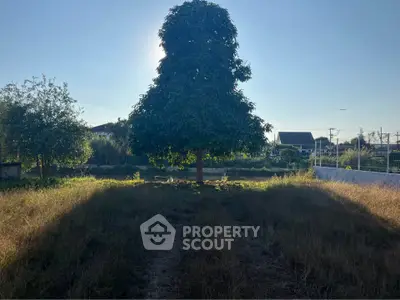 Serene garden view with lush greenery and a prominent tree, perfect for nature lovers seeking tranquility.