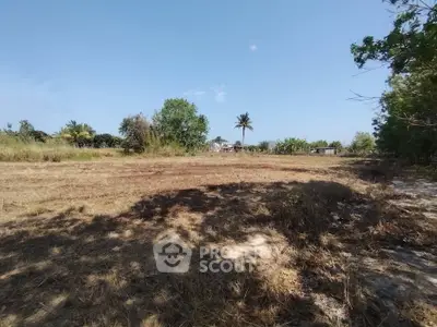 Expansive vacant land with lush greenery and clear blue sky, perfect for development opportunities.