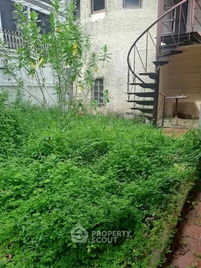 Charming garden with spiral staircase in a cozy residential backyard