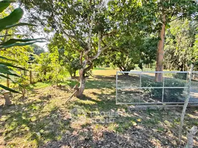 image_rental-27755062