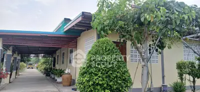 Charming single-story home with lush greenery and spacious driveway, perfect for serene living.