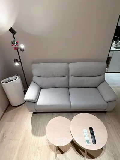 Modern living room with sleek gray sofa and stylish round coffee tables