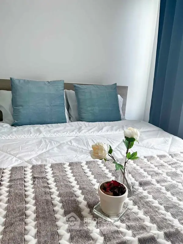 image_rental-30943284