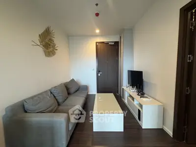 image_rental-29664970