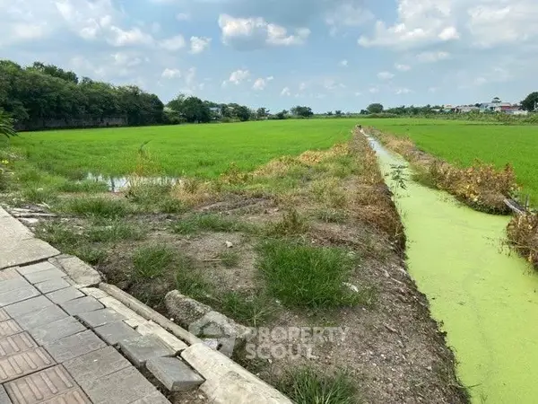 image_rental-29225846