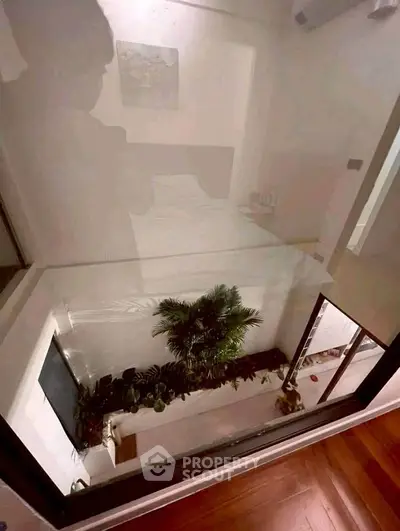 Modern interior with glass floor and indoor garden view, showcasing unique architectural design.