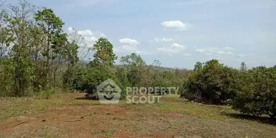 Expansive land plot with lush greenery and open sky, ideal for development or agriculture.