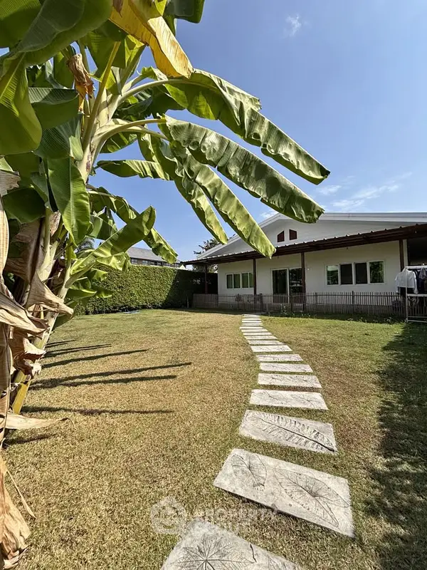 image_rental-29060988