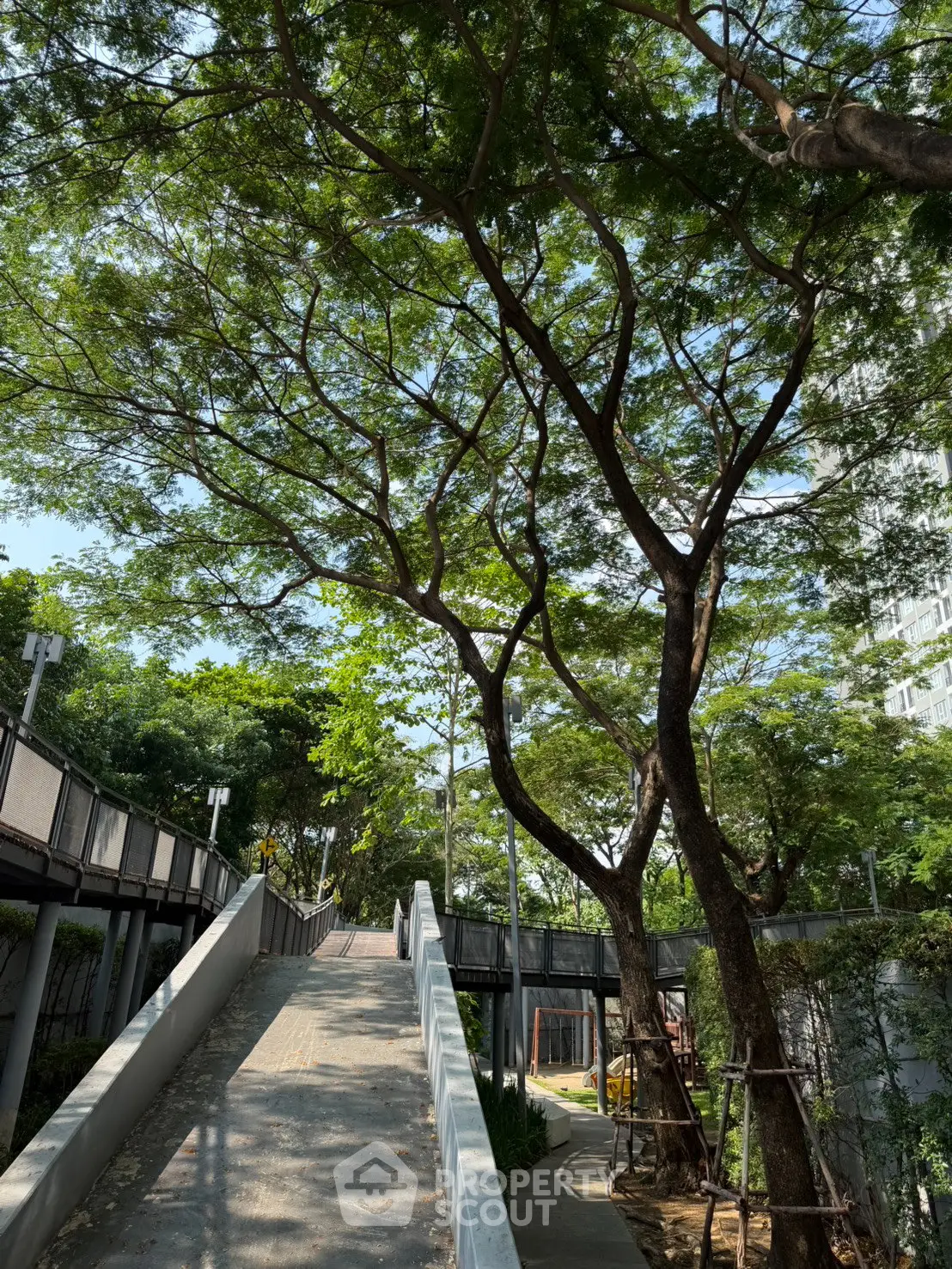 Serene outdoor walkway surrounded by lush greenery and tall trees, perfect for a peaceful stroll.