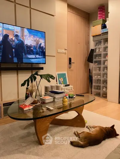 Cozy living room with modern decor and sleeping dog, featuring a glass coffee table and wall-mounted TV.