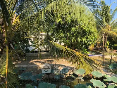 Tropical garden view with lush greenery and serene pond