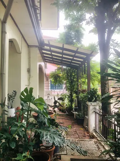 Charming garden pathway with lush greenery and rustic patio in residential setting.