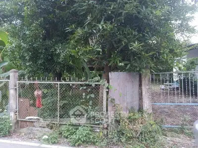 Charming rustic garden with lush greenery and vintage fence, perfect for nature lovers.