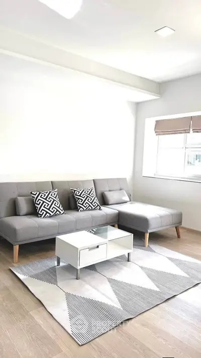 Modern living room with stylish gray sofa, geometric rug, and natural light from large window.