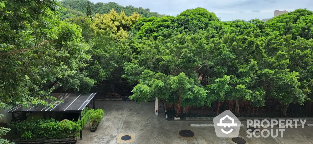 Lush green garden view from a property with ample parking space and serene surroundings.